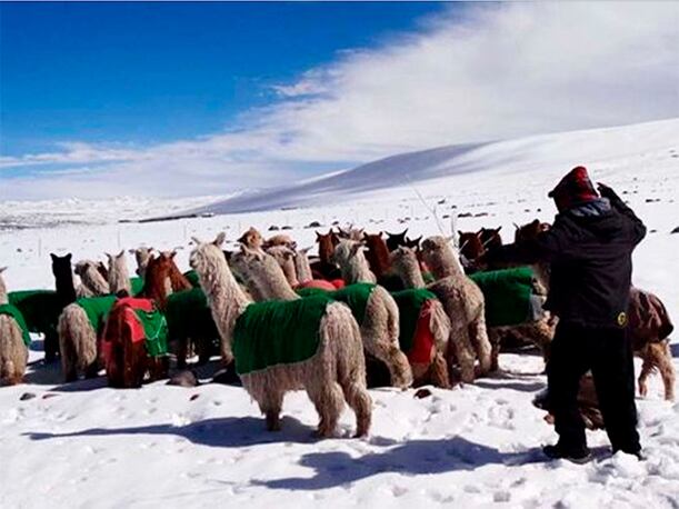 Senamhi advirtió descenso de temperaturas en la sierra sur del Perú. (Foto: Agencia Andina)