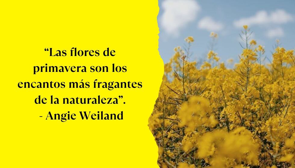 “Las flores de primavera son los encantos más fragantes de la naturaleza”. - Angie Weiland | Foto de Pinterest.