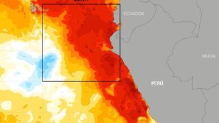 Enfen emite nuevo reporte sobre El Niño: ¿Cambiaron las previsiones climáticas?