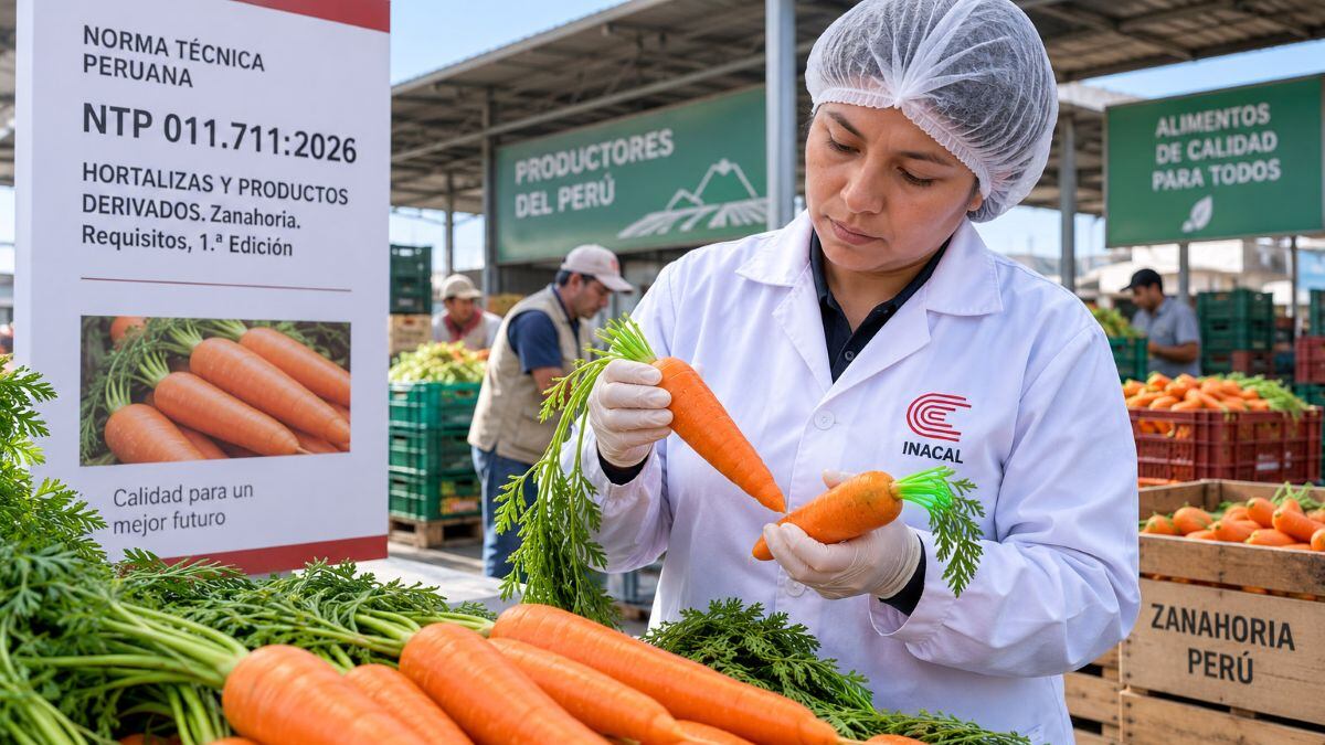 Inacal establece nuevos criterios de calidad para la comercialización de zanahoria en Perú