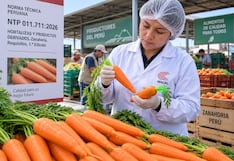 Inacal establece nuevos criterios de calidad para la comercialización de zanahoria en Perú