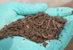 Economía circular aplicada por la minería: el caso de Paltarumi