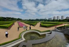 Un viaje al sur de Brasil: Curitiba, la tierra de los Capibaras y los extensos bosques