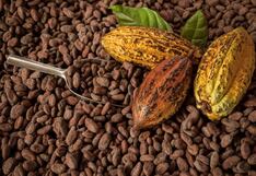 Estas son las 10 empresas que concentran el 41% de la exportación de cacao peruano