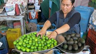 Alertan que importación de limones de Ecuador y Colombia llegarían con enfermedades
