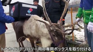 Domino's Pizza entrena a renos como repartidores en Japón