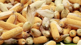 La inflación del maíz golpea al tamal mexicano en el Día de la Candelaria