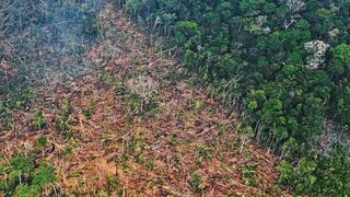 Deforestación causada por minería ilegal en la reserva yanomami de Brasil saltó 308%