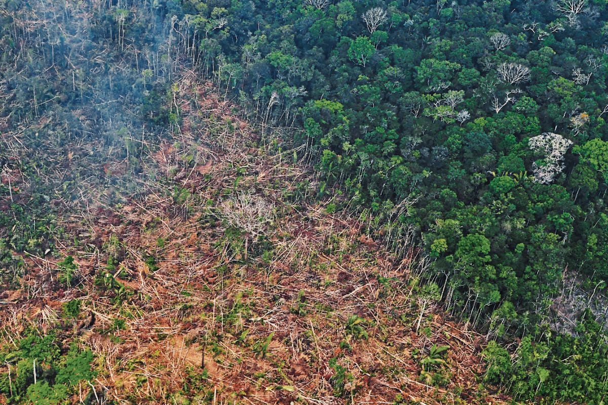 Lula ha prometido combatir la deforestación, lo que será celebrado por el Gobierno de Joe Biden y la Unión Europea. (Foto: AFP)