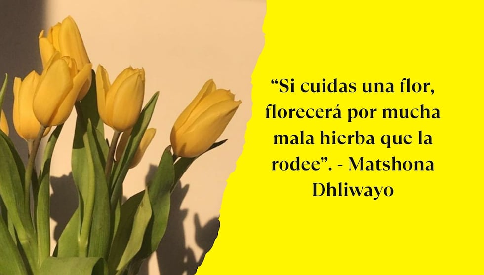 “Si cuidas una flor, florecerá por mucha mala hierba que la rodee”. - Matshona Dhliwayo | Foto de Pinterest.