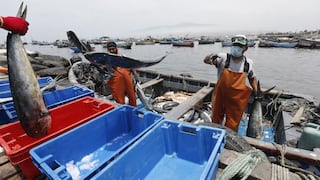 MEF destina más de S/ 4 millones para impulsar producción pesquera en la selva