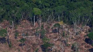 Alertas de deforestación en la Amazonía de Brasil alcanzan en febrero su mayor nivel para el mes