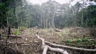 COP 20: Perú se compromete a restaurar 3.2 millones de hectáreas de tierras degradadas