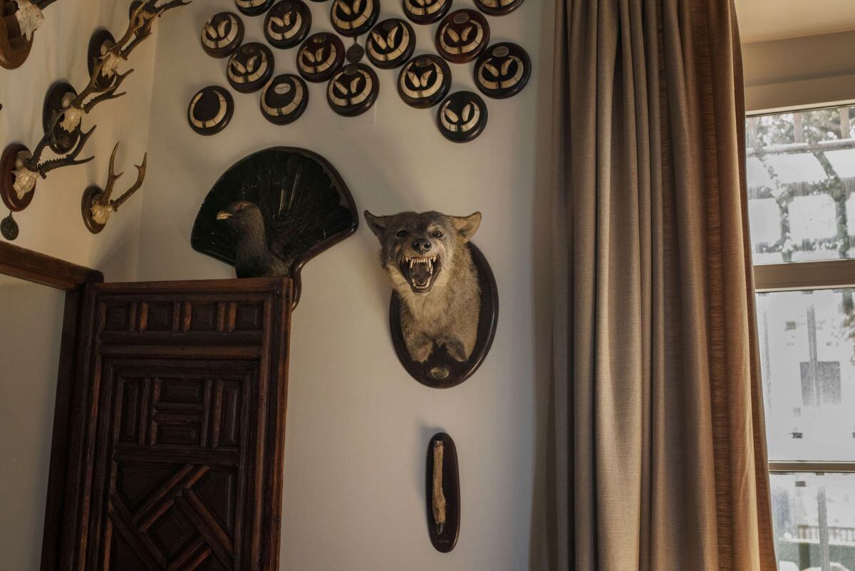 Alonso Álvarez de Toledo y Urquijo, XII marqués de Valdueza, cazador y ganadero, en su castillo de Ávila, Madrid, España.