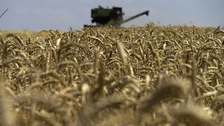 Rusia seguirá con su participación en el acuerdo de exportación de cereales ucranianos