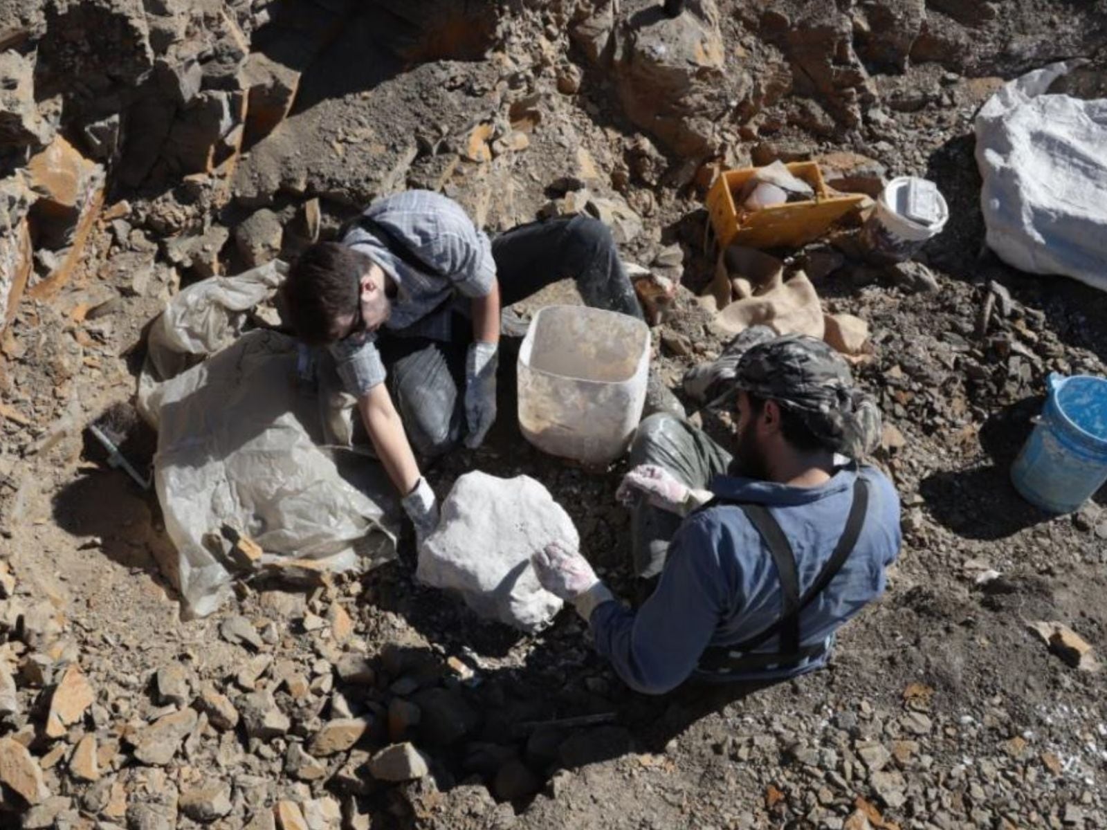 La nueva especie es un abelisáurido llamado Koleken inakayali, nombre que deriva de la lengua de los tehuelches de la Patagonia central y hace referencia a la arcilla en la que se encontró el animal y al líder tehuelche Inakayal. | Crédito: María Agustinho