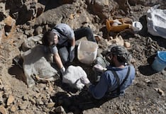 Descubren tres bosques petrificados en la Patagonia argentina