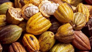 Perú envió primer lote de cacao fino de aroma a Francia