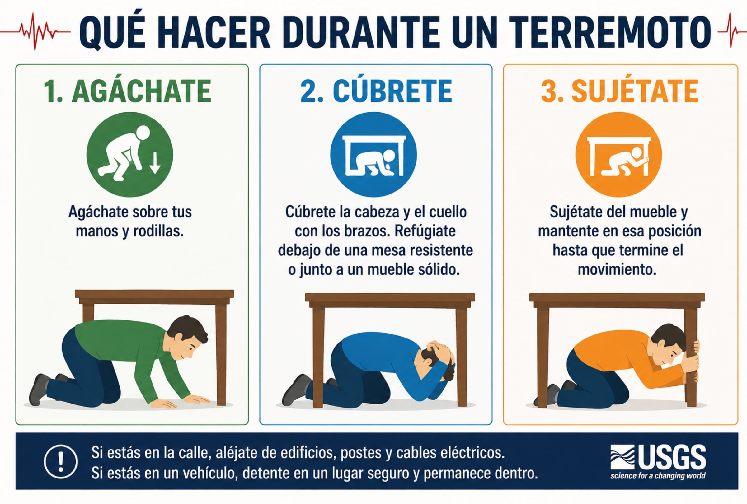 La recomendación durante un terremoto es aplicar la técnica “agáchate, cúbrete y sujétate”: proteger la cabeza y el cuello, refugiarse bajo una mesa resistente y mantenerse allí hasta que termine el movimiento. FOTO DE USGS