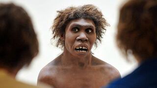 El hombre de Neandertal era dentista y tomaba "aspirinas"