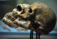Homo sapiens ya mostró gusto por el marisco y el pescado hace 15,000 años