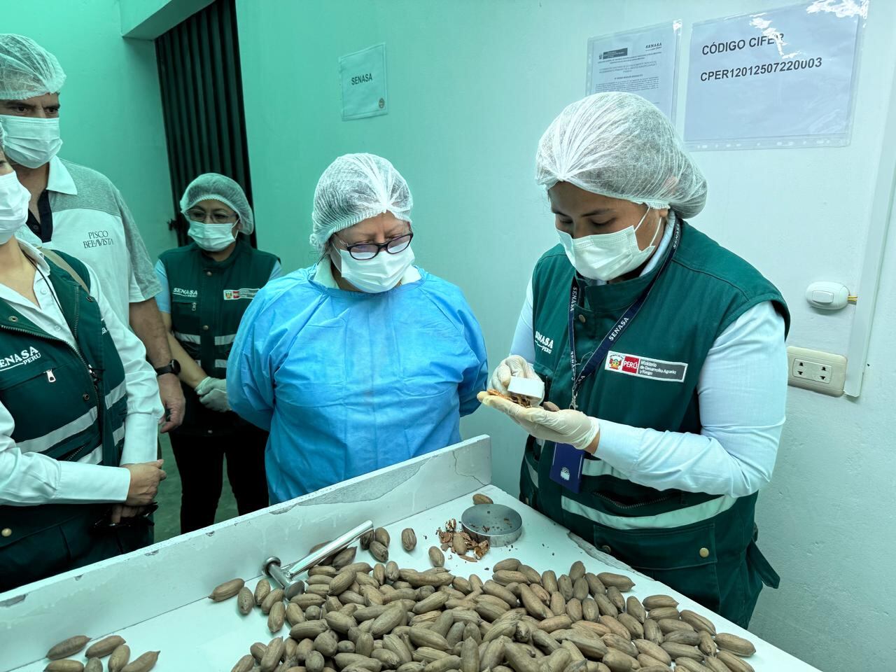 Senasa verificó que el envío cumpla con los parámetros que exige el gigante asiático. (Foto: Andina)