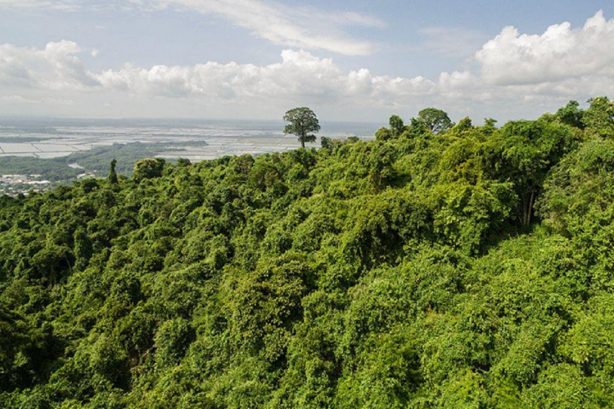 El Bosque Protector Cerro Blanco, una reserva privada de 6.078 hectáreas que contiene uno de los últimos remanentes de bosque seco de la costa ecuatoriana.(Foto: Ekosnegocios)