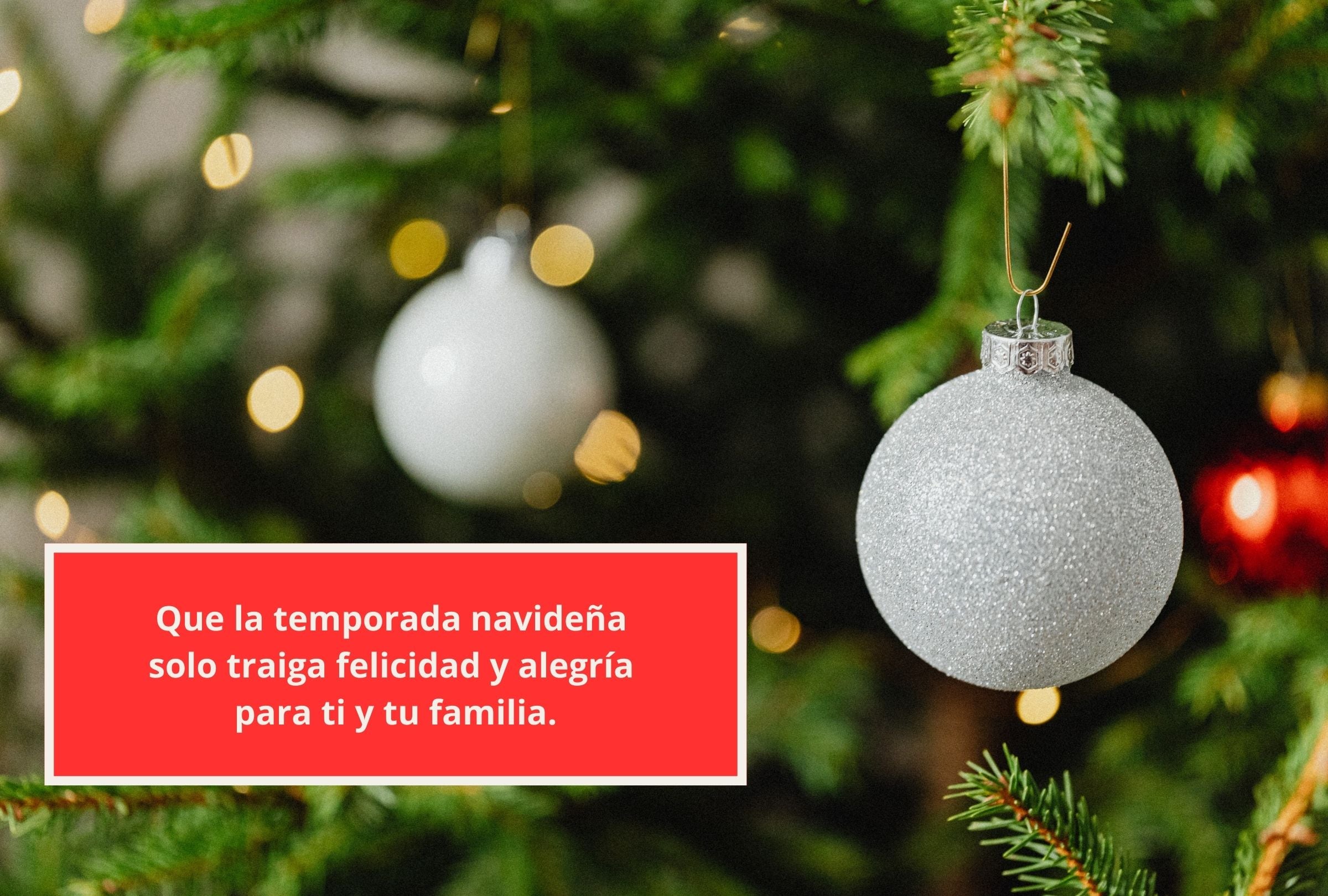 Que la temporada navideña solo traiga felicidad y alegría para ti y tu familia. (Foto: Composición Gestión Mix)