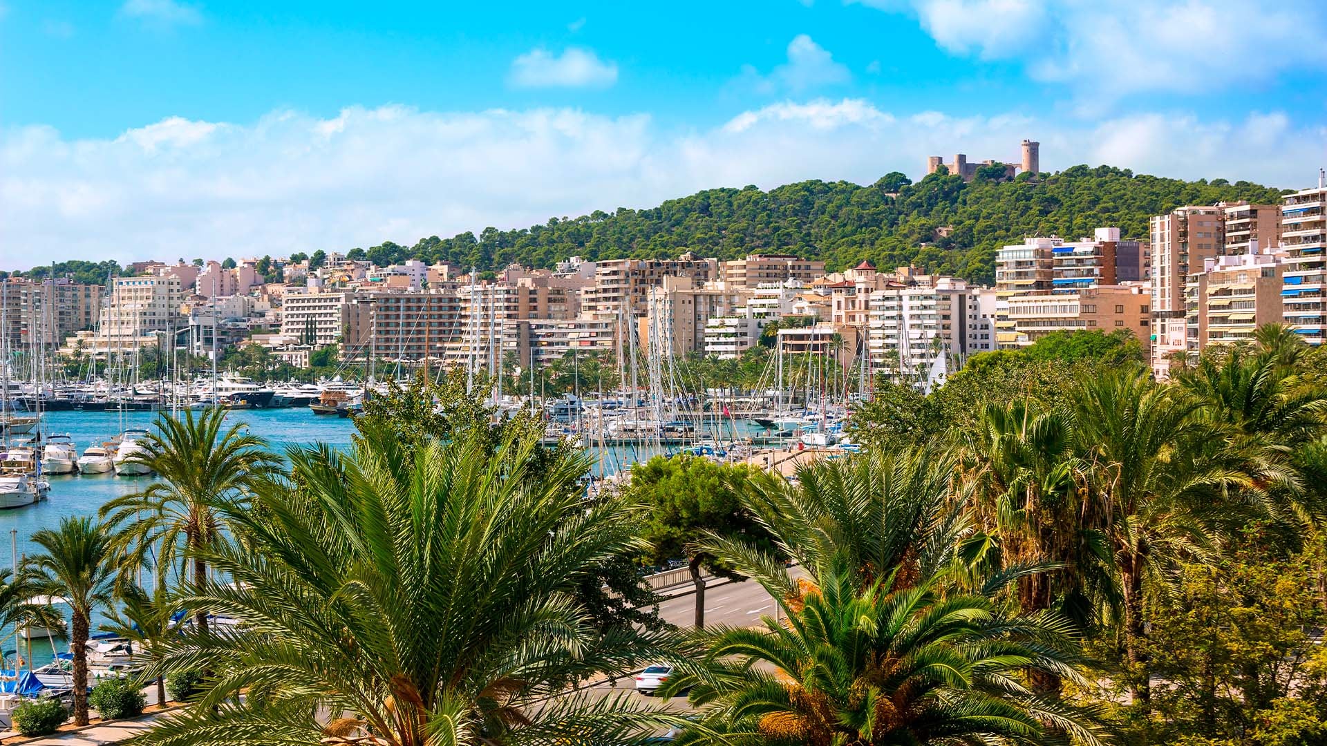 Venta de departamentos en Palma de Mallorca en España.