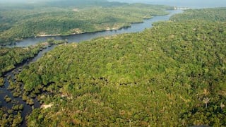 Destrucción de la Amazonía traería un “apocalipsis” mundial, alertan sus guardianes