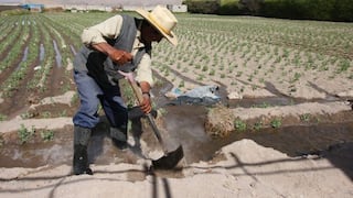 El 100% de fertilizantes estará exonerado de IGV para impulsar al sector agrícola