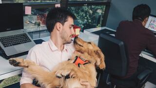 Día de llevar al perro al trabajo: por qué se celebra el 21 de junio