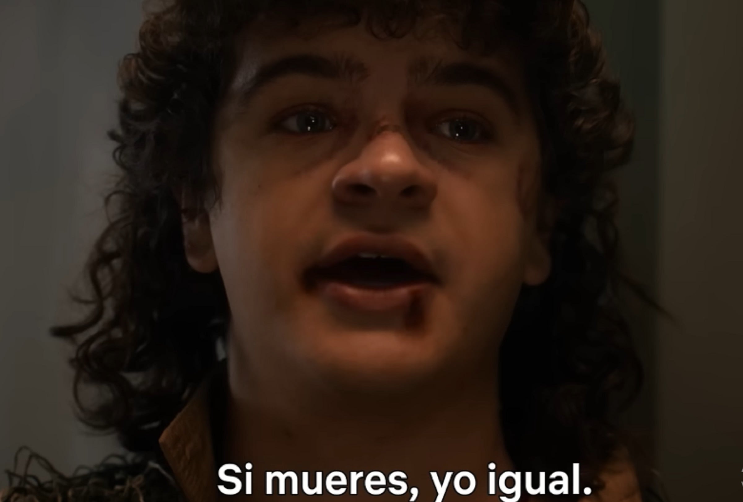 ¿Qué personaje morirá en el Volumen 2 de la quinta temporada de "Stranger Things"? ¿Dustin? (Foto: Netflix)