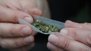 Uruguay reglamenta uso de marihuana con fines medicinales y de investigación