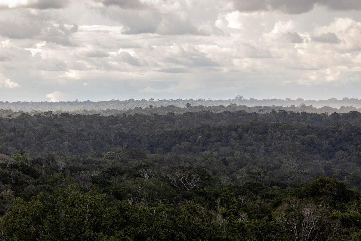 Brasil busca fortalecer su posicionamiento como destino de ecoturismo mediante rutas que recorren parques naturales y áreas protegidas.