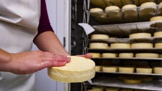 Consumo de quesos nacionales crecerá más que en años anteriores mientras importaciones caen 