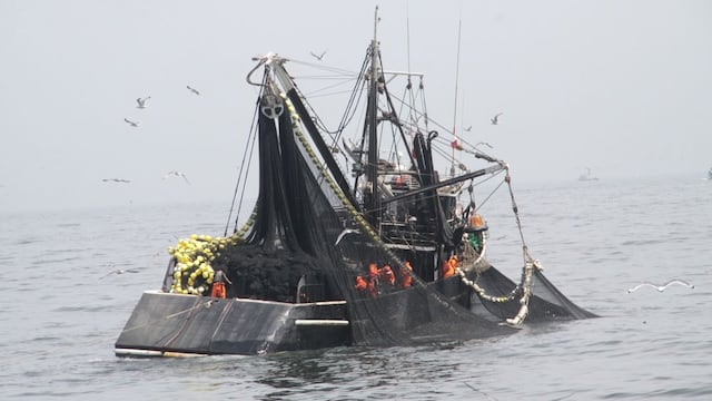 Industriales pesqueros piden "revisión técnica" para pescar a menos de 5 millas en el sur del Perú