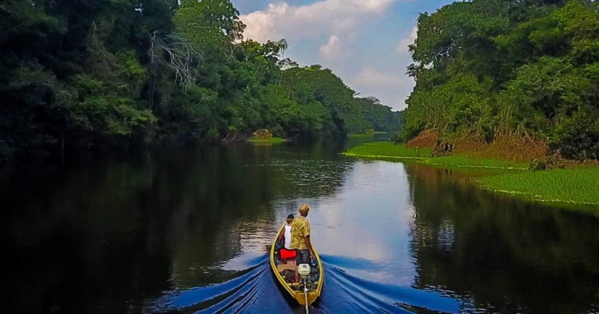 Turismo en Tarapoto | San Martin registra una caída en sector turismo. ¿Cuáles son las estrategias para aumentar las cifras? Foto: eMarketPerú