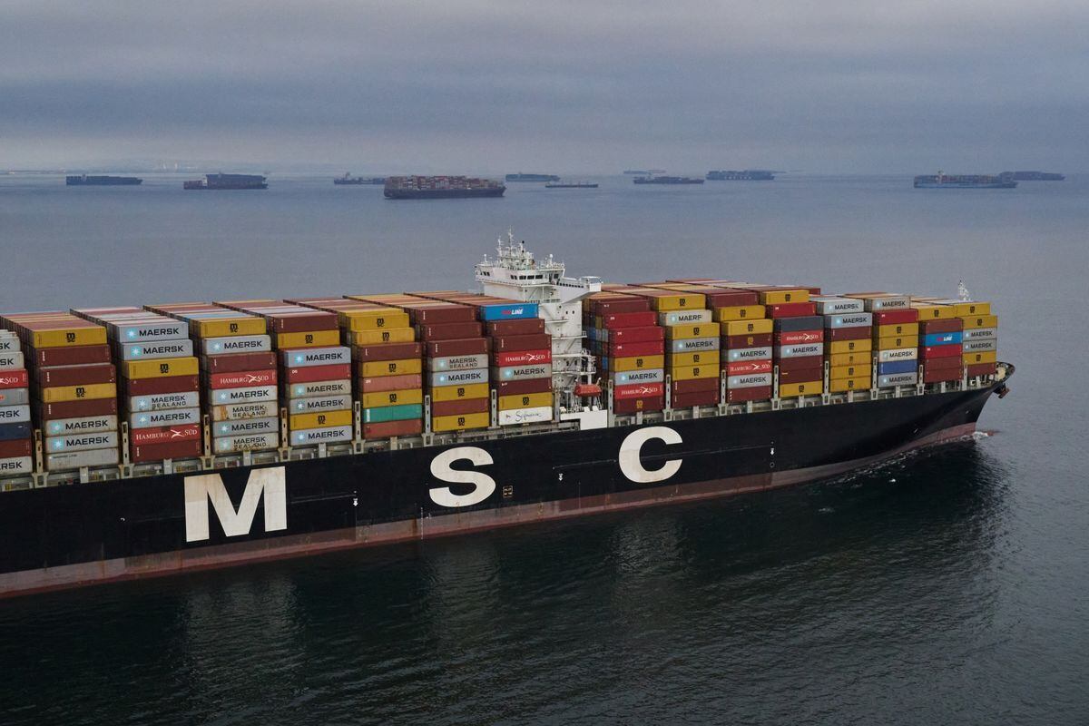 La naviera Mediterranean Shipping Company (MSC) empezará a operar a partir del 9 de noviembre.