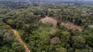 Deforestación de Amazonía peruana emite carbono como diez millones de coches