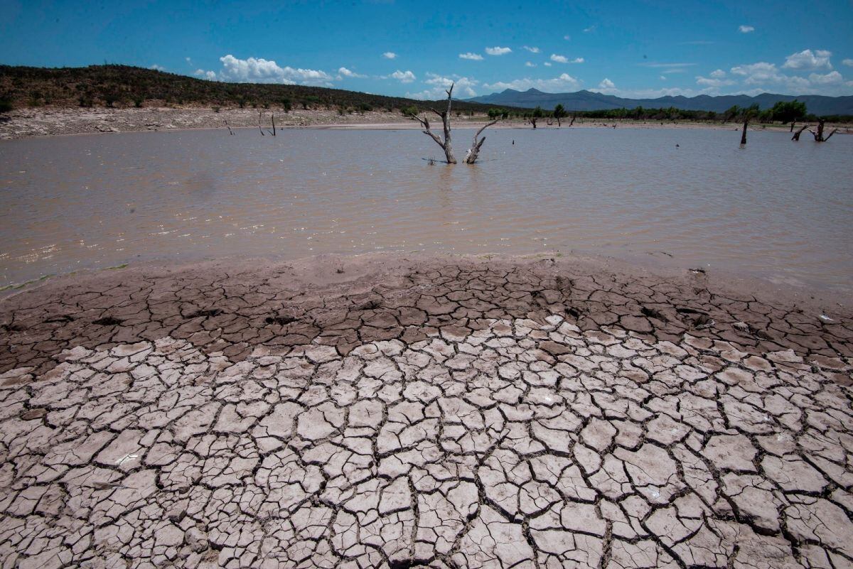 Las regiones más afectadas por la falta de agua son el departamento andino de Oruro, el sur de La Paz y el norte de Potosí. (Foto: La Razón)