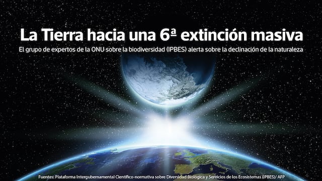 La Tierra hacia una sexta extinción masiva