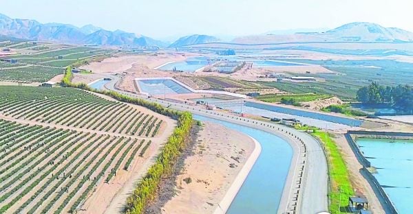 El Ministerio de Relaciones Exteriores informó al Ministerio de Desarrollo Agrario y Riesgo cuales son los países interesados en participar en el acuerdo Gobierno a Gobierno (G2G)