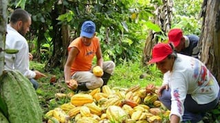 MEF destina S/ 7.5 millones para articulación y competitividad de pequeños productores