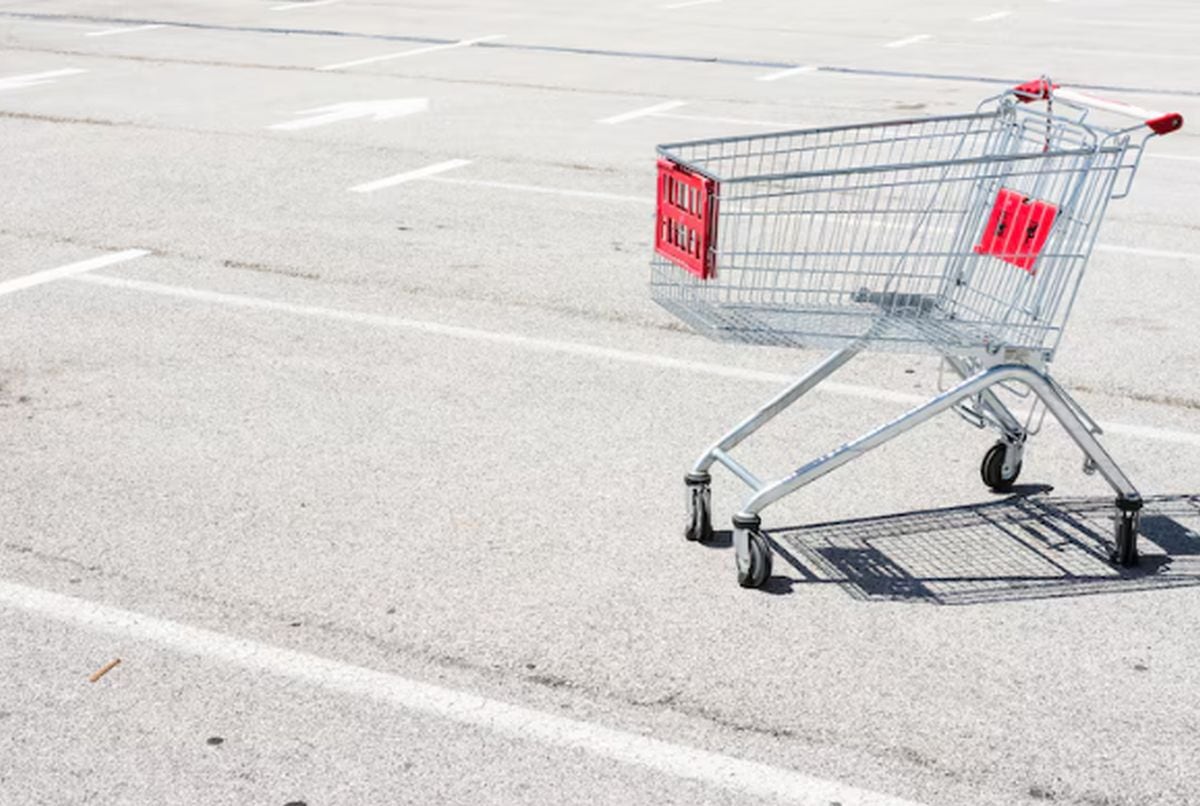 Cada carrito puede costar más de 100 dólares y su pérdida complica la operación diaria del negocio (Foto: Freepik)