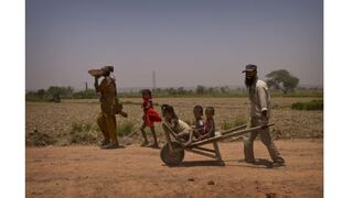 India: Ola de calor deja 1,100 muertos