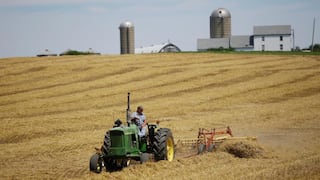 Agricultores argentinos temen un retorno al proteccionismo
