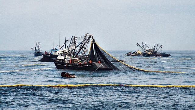Exportaciones pesqueras para consumo humano llegarían a US$ 1,500 millones este año