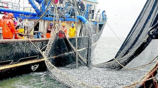 Produce presentó 10 demandas de nulidad contra derechos de pesca otorgados irregularmente