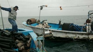 SNP: Perú impulsará industria del atún al poder pescar en toda el área del Pacífico Oriental